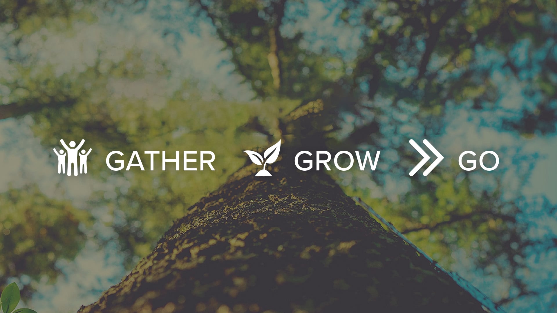 Gather Grow Go_Title Slide